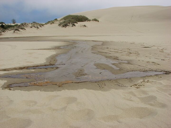 four unique water features in the oregon dunes