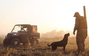 Five Tips for Taking the Dog in Your UTV