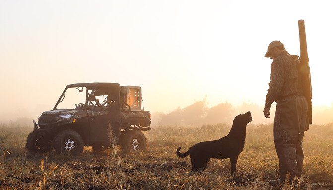 Five Tips for Taking the Dog in Your UTV