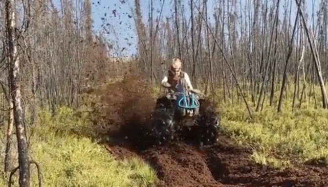 Soft Ground Swallows ATVs + Video