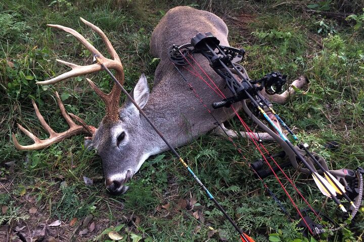 bow hunting with the yamaha whitetail diaries crew video, Big Buck Down