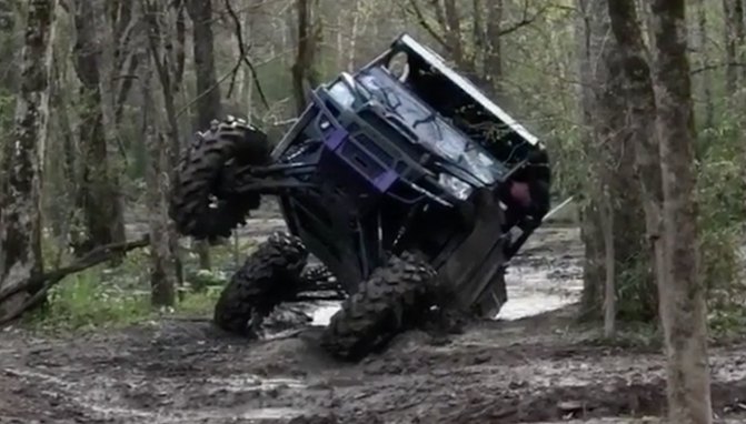 How's This For a "Flex" Friday + Video