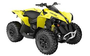 2019 Can-Am Renegade Family