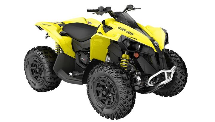 2019 Can-Am Renegade Family
