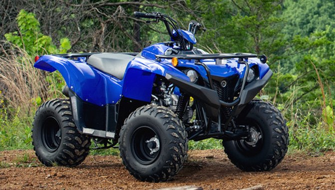 2019 Yamaha Grizzly 90 Unveiled