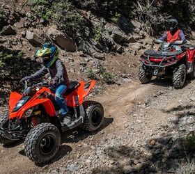 poll what is the best reason to own an atv or ssv, Can Am DS90
