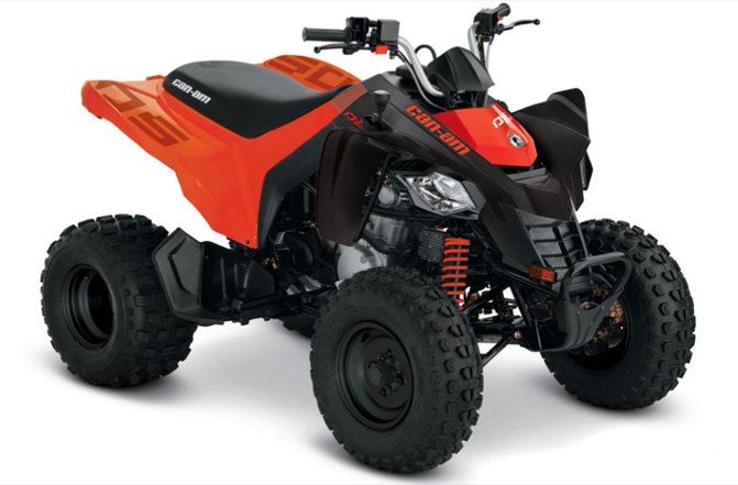 youth atv and utv buyer s guide, Can Am DS 250
