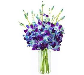 atv com mother s day gift guide, Flowers