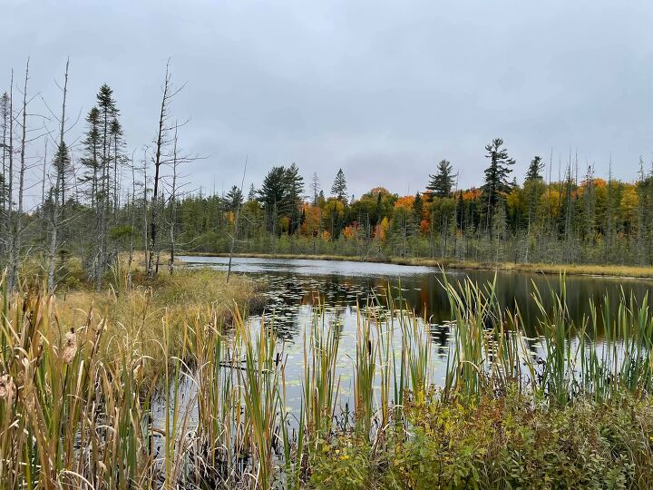 explore new places with these 5 northern ontario atv tours, outdooradventures