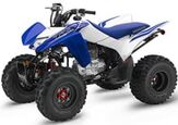 2022 Honda TRX® 250X