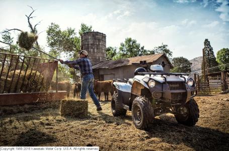 the brute force 300 atv is perfect for riders 16 and older searching for a sporty