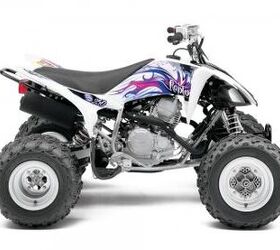 2013 Yamaha RAPTOR 250 For Sale | ATV Classifieds | ATV.com