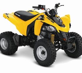 2014 Can-Am® DS 250® 