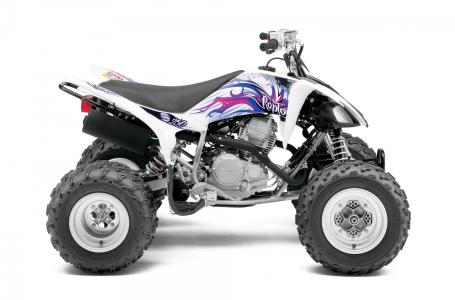 2013 Yamaha Raptor 250 For Sale | ATV Classifieds | ATV.com