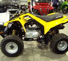 an atv for riders age 14 and up the ds 250 sports an energetic 250 cc