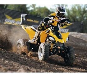 an atv for riders age 14 and up the ds 250 sports an energetic 250 cc