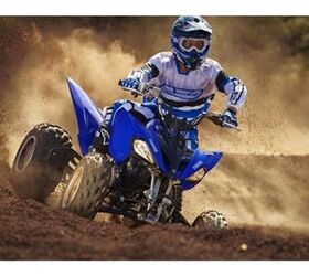 the 250 class leader by a large marginthe only true sport atv in