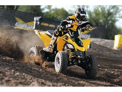 an atv for riders age 14 and up the ds 250 sports an energetic 250 cc