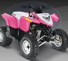 2010 POLARIS 200 PHOENIX For Sale | ATV Classifieds | ATV.com