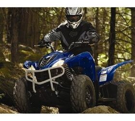 blurs boundaries and scenery wolverine 450 is a fully automatic 4x4