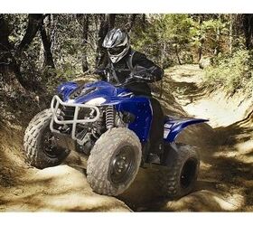 blurs boundaries and scenery wolverine 450 is a fully automatic 4x4