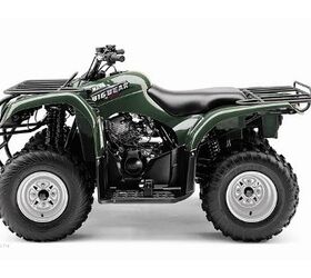 theres a lot of bear in this mid sized atv the big bear 250