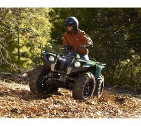 proven middle weight performer raises the barthe new grizzly 450