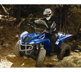 blurs boundaries and scenery wolverine 450 is a fully automatic 4x4