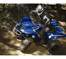 blurs boundaries and scenery wolverine 450 is a fully automatic 4x4