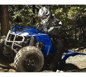 blurs boundaries and scenery wolverine 450 is a fully automatic 4x4