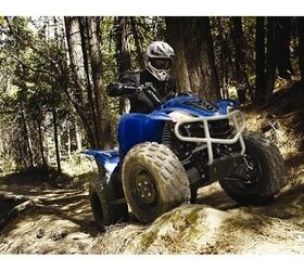 blurs boundaries and scenery wolverine 450 is a fully automatic 4x4