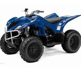 born to multi task wolverine 350 is fully automatic and has features