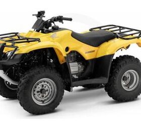 2007 Honda TRX250TM For Sale ATV Classifieds