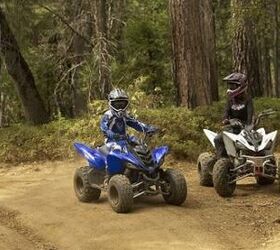 2009 Yamaha RAPTOR 90 For Sale | ATV Classifieds | ATV.com