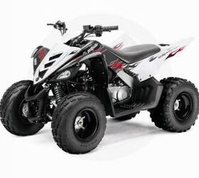 2009 Yamaha RAPTOR 90 For Sale | ATV Classifieds | ATV.com