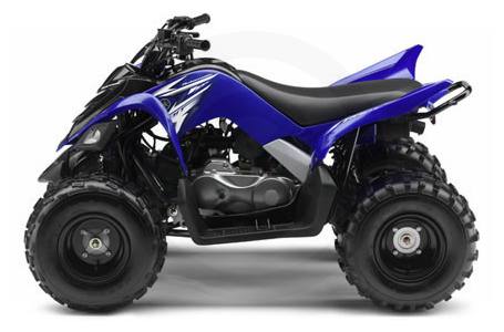 2010 Yamaha Raptor 90 For Sale | ATV Classifieds | ATV.com