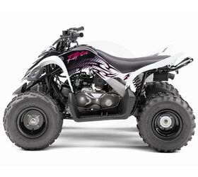 2010 Yamaha Raptor 90 For Sale | ATV Classifieds | ATV.com