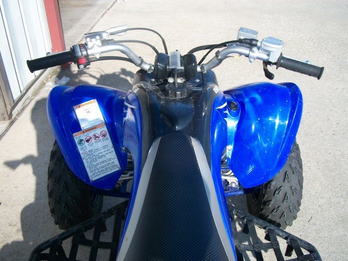 blue yfm700 call for details ready to sell