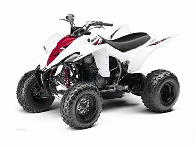 mid size machine big time performance raptor 350 features a