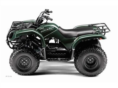 full featured performance at an entry level price grizzly 125 is