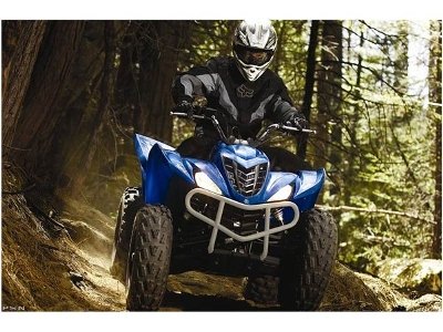 blurs boundaries and scenery wolverine 450 is a fully automatic 4x4