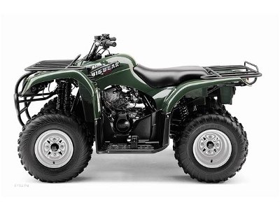 theres a lot of bear in this mid sized atv the big bear 250