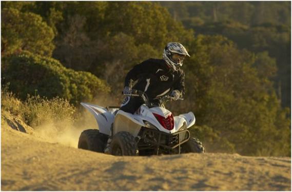 blurs boundaries and scenery wolverine 450 is a fully automatic