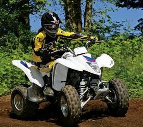 2010 Suzuki QuadSport Z250 For Sale | ATV Classifieds | ATV.com