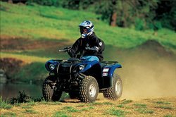 2006 yamaha grizzly 125 automatic