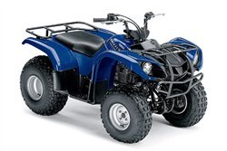 2006 yamaha grizzly 125 automatic