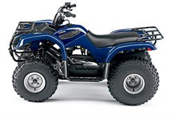 2007 yamaha grizzly 125 automatic