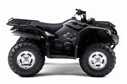 2008 Yamaha Grizzly 450 Auto. 4x4 IRS Special Edition
