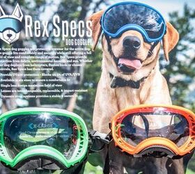 10 best atv utv products from overland expo west 2019, Rex Specs Dog Goggles