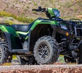 new 2020 atv and utv preview from can am honda and yamaha, Rubicon Deluxe